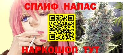 дживик Гай