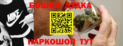 амф Гатчина