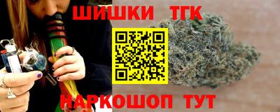 амф Гатчина
