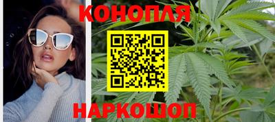 дживик Гай