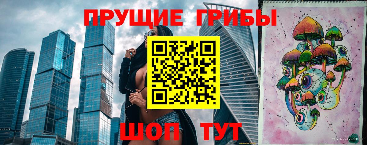 Псилоцибиновые грибы Cubensis Назрань